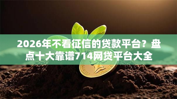2026年不看征信的贷款平台？盘点十大靠谱714网贷平台大全