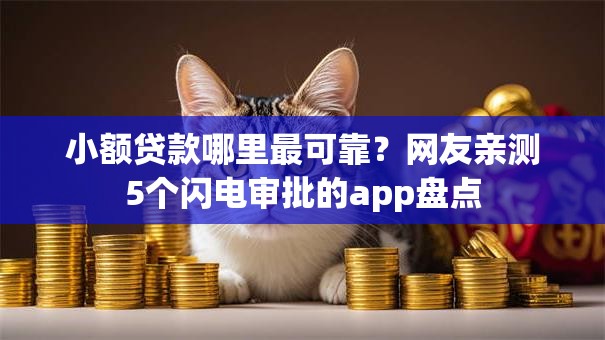 小额贷款哪里最可靠？网友亲测5个闪电审批的app盘点
