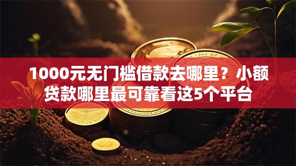1000元无门槛借款去哪里?小额贷款哪里最可靠看这5个平台 1000元无门槛借款去哪里?小额贷款哪里最可靠看这5个平台