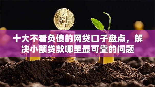 十大不看负债的网贷口子盘点，解决小额贷款哪里最可靠的问题