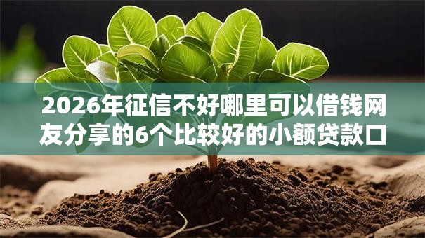 2026年征信不好哪里可以借钱网友分享的6个比较好的小额贷款口子我觉得不错！