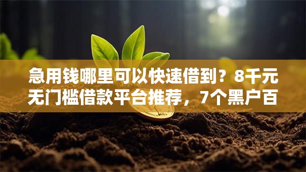 急用钱哪里可以快速借到?8千元无门槛借款平台推荐,7个黑户百分百下款的平台盘点 急用钱哪里可以快速借到?8千元无门槛借款平台推荐,7个黑户百分百下款的平台盘点