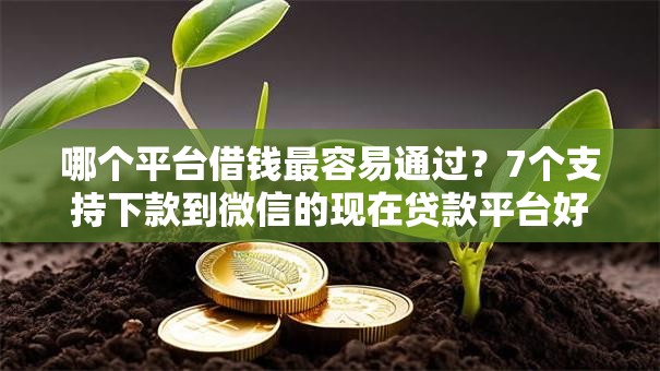 哪个平台借钱最容易通过？7个支持下款到微信的现在贷款平台好用