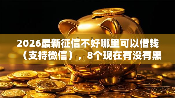 2026最新征信不好哪里可以借钱（支持微信），8个现在有没有黑户下款的口子无私分享
