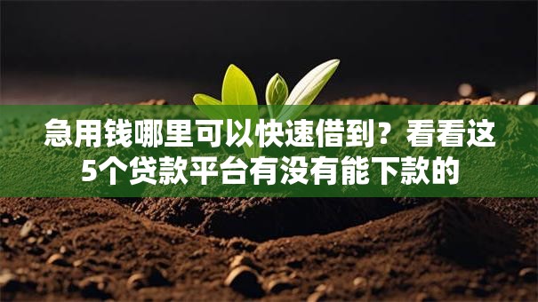 急用钱哪里可以快速借到？看看这5个贷款平台有没有能下款的
