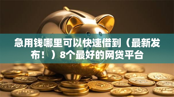 急用钱哪里可以快速借到（最新发布！）8个最好的网贷平台
