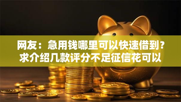 网友：急用钱哪里可以快速借到？求介绍几款评分不足征信花可以借的平台