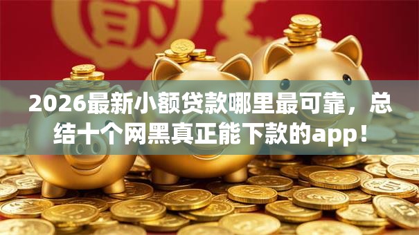 2026最新小额贷款哪里最可靠，总结十个网黑真正能下款的app！
