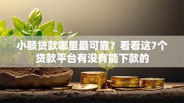 小额贷款哪里最可靠？看看这7个贷款平台有没有能下款的