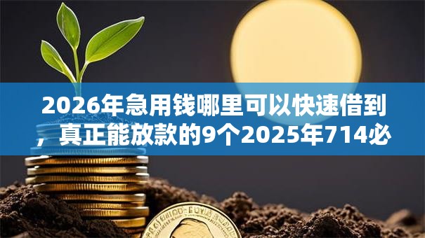2026年急用钱哪里可以快速借到，真正能放款的9个2025年714必下口子借款平台推荐
