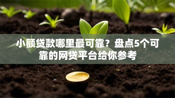 小额贷款哪里最可靠？盘点5个可靠的网贷平台给你参考
