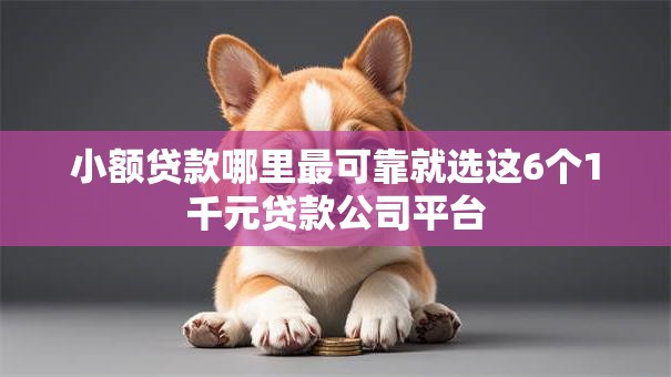 小额贷款哪里最可靠就选这6个1千元贷款公司平台