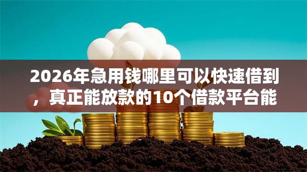 2026年急用钱哪里可以快速借到，真正能放款的10个借款平台能借钱推荐
