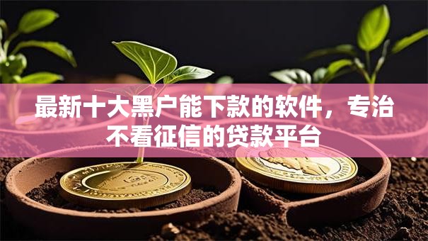 最新十大黑户能下款的软件，专治不看征信的贷款平台
