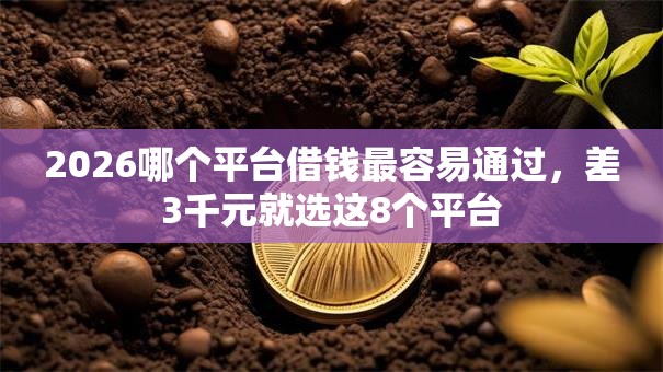 2026哪个平台借钱最容易通过，差3千元就选这8个平台