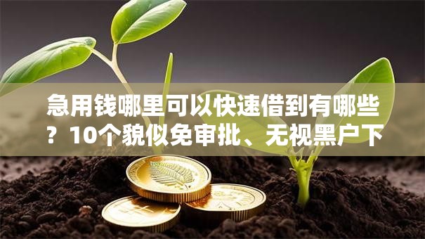 急用钱哪里可以快速借到有哪些？10个貌似免审批、无视黑户下款口子合集