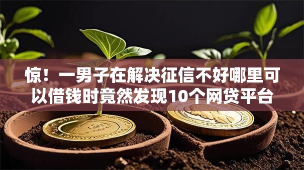 惊！一男子在解决征信不好哪里可以借钱时竟然发现10个网贷平台怎么注销，事后分享了出来