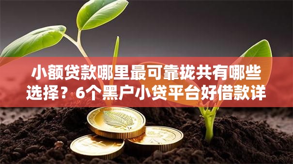小额贷款哪里最可靠拢共有哪些选择？6个黑户小贷平台好借款详解