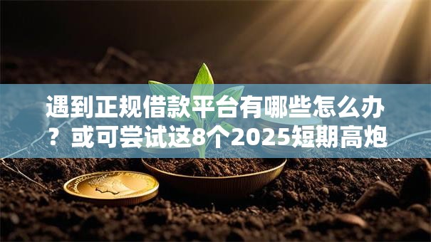 遇到正规借款平台有哪些怎么办？或可尝试这8个2025短期高炮口子必下款