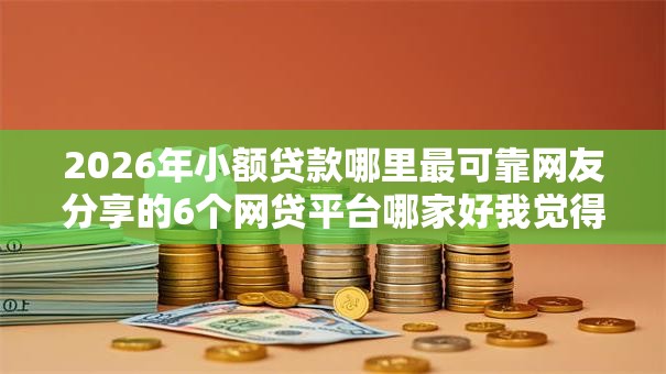 2026年小额贷款哪里最可靠网友分享的6个网贷平台哪家好我觉得不错！