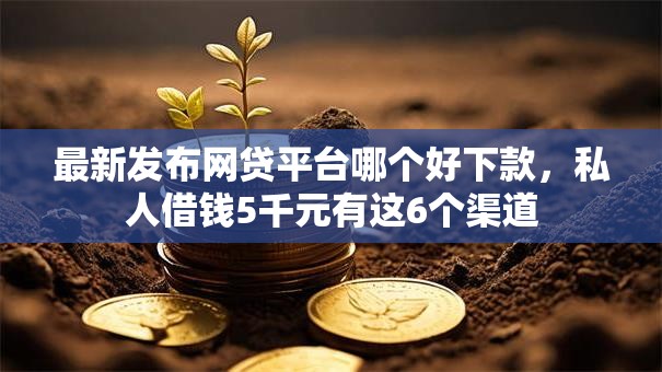 最新发布网贷平台哪个好下款，私人借钱5千元有这6个渠道