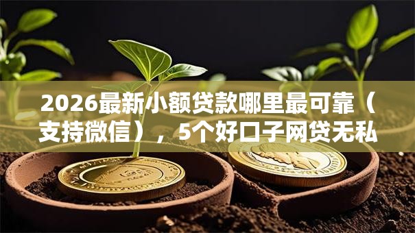 2026最新小额贷款哪里最可靠（支持微信），5个好口子网贷无私分享
