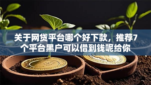 关于网贷平台哪个好下款，推荐7个平台黑户可以借到钱呢给你