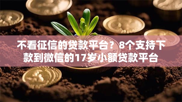不看征信的贷款平台？8个支持下款到微信的17岁小额贷款平台