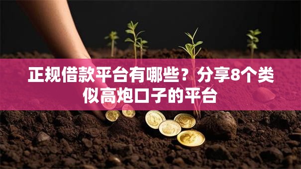 正规借款平台有哪些？分享8个类似高炮口子的平台