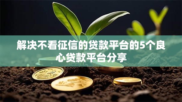 解决不看征信的贷款平台的5个良心贷款平台分享