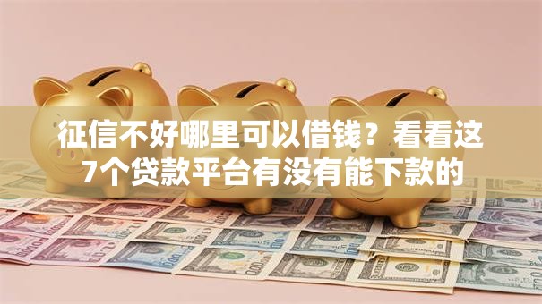 征信不好哪里可以借钱？看看这7个贷款平台有没有能下款的