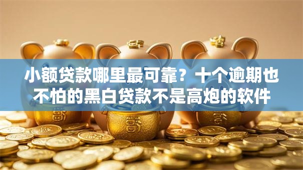 小额贷款哪里最可靠？十个逾期也不怕的黑白贷款不是高炮的软件