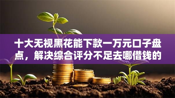十大无视黑花能下款一万元口子盘点，解决综合评分不足去哪借钱的问题