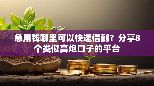 急用钱哪里可以快速借到？分享8个类似高炮口子的平台