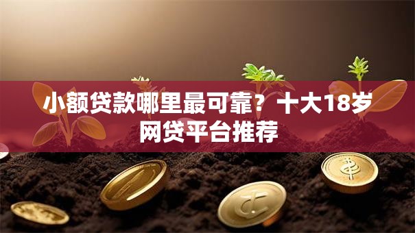 小额贷款哪里最可靠?十大18岁网贷平台推荐 小额贷款哪里最可靠?十大18岁网贷平台推荐