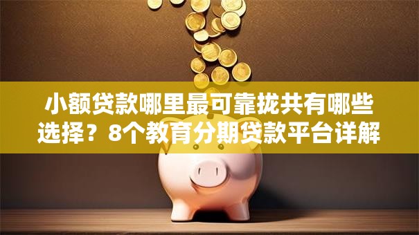 小额贷款哪里最可靠拢共有哪些选择?8个教育分期贷款平台详解 小额贷款哪里最可靠拢共有哪些选择?8个教育分期贷款平台详解