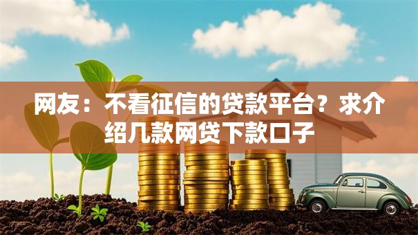 网友：不看征信的贷款平台？求介绍几款网贷下款口子
