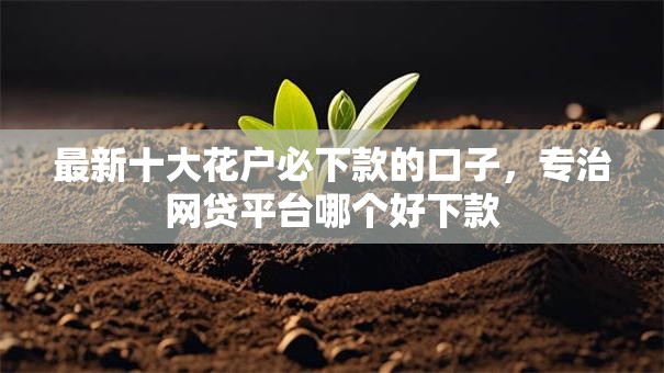 最新十大花户必下款的口子，专治网贷平台哪个好下款