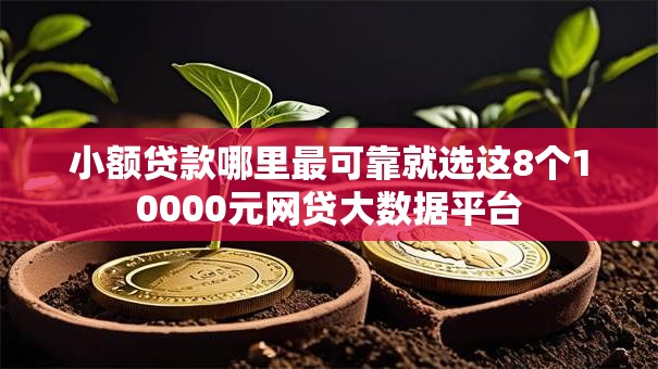 小额贷款哪里最可靠就选这8个10000元网贷大数据平台 小额贷款哪里最可靠就选这8个10000元网贷大数据平台