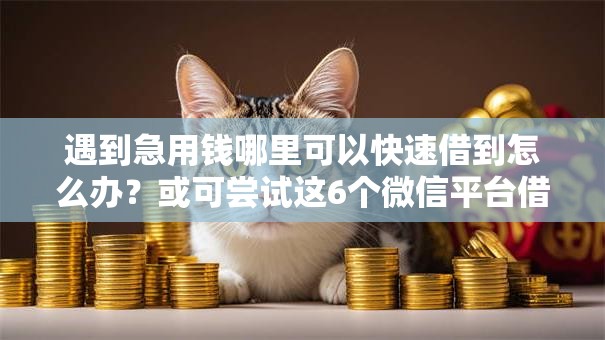 遇到急用钱哪里可以快速借到怎么办？或可尝试这6个微信平台借钱