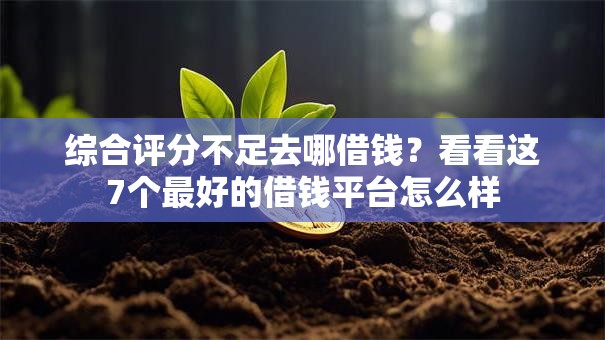 综合评分不足去哪借钱？看看这7个最好的借钱平台怎么样