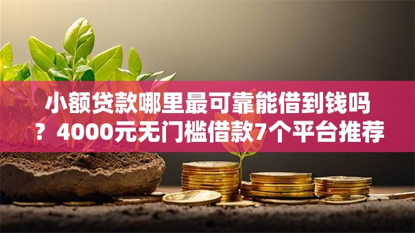 小额贷款哪里最可靠能借到钱吗？4000元无门槛借款7个平台推荐