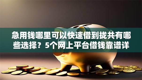 急用钱哪里可以快速借到拢共有哪些选择？5个网上平台借钱靠谱详解