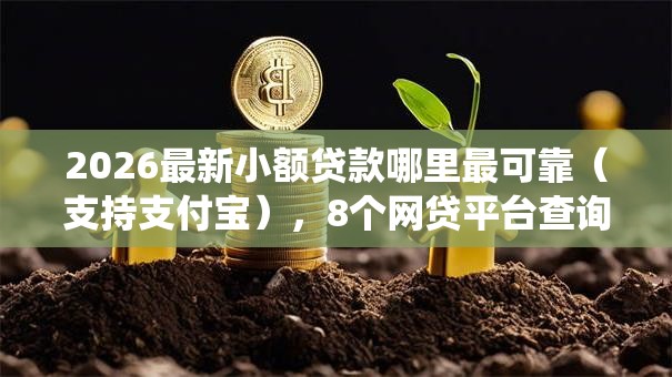 2026最新小额贷款哪里最可靠（支持支付宝），8个网贷平台查询系统无私分享