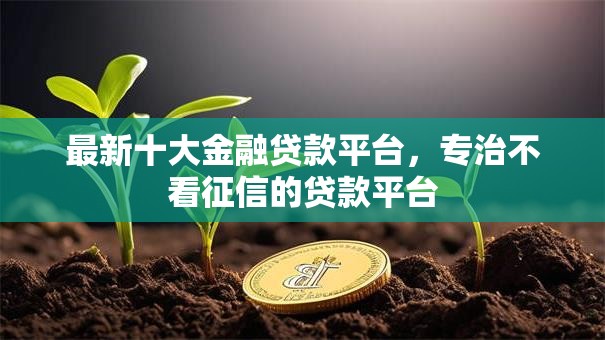 最新十大金融贷款平台,专治不看征信的贷款平台 最新十大金融贷款平台,专治不看征信的贷款平台