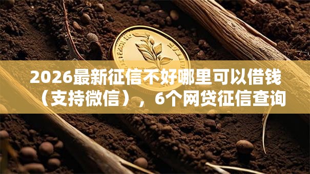 2026最新征信不好哪里可以借钱(支持微信),6个网贷征信查询平台无私分享 2026最新征信不好哪里可以借钱(支持微信),6个网贷征信查询平台无私分享