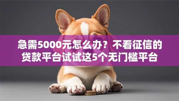 急需5000元怎么办?不看征信的贷款平台试试这5个无门槛平台 急需5000元怎么办?不看征信的贷款平台试试这5个无门槛平台