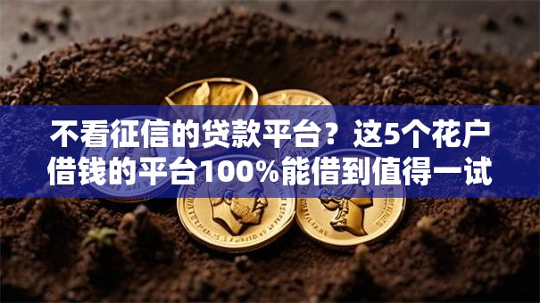 不看征信的贷款平台?这5个花户借钱的平台100%能借到值得一试 不看征信的贷款平台?这5个花户借钱的平台100%能借到值得一试