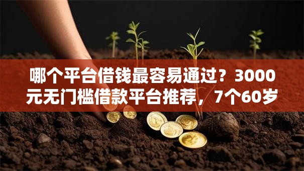 哪个平台借钱最容易通过?3000元无门槛借款平台推荐,7个60岁以上老人网贷口子盘点 哪个平台借钱最容易通过?3000元无门槛借款平台推荐,7个60岁以上老人网贷口子盘点