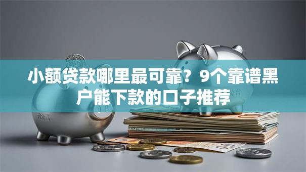 小额贷款哪里最可靠？9个靠谱黑户能下款的口子推荐